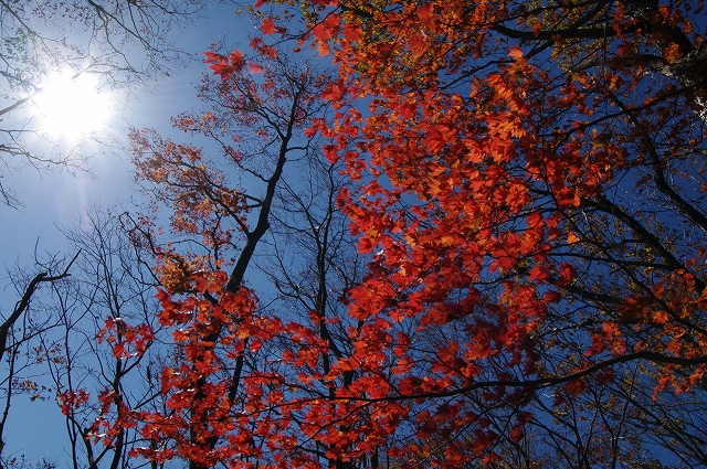 f:id:Argon:20151025215205j:image