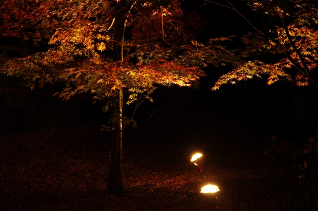 f:id:Argon:20151107085116j:image