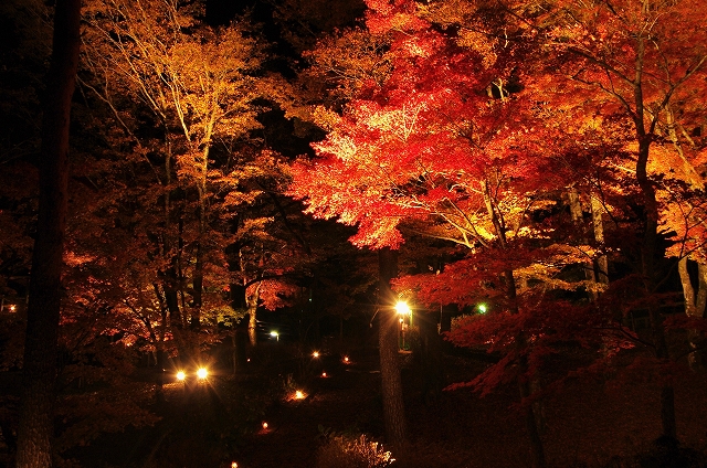 f:id:Argon:20151107085117j:image