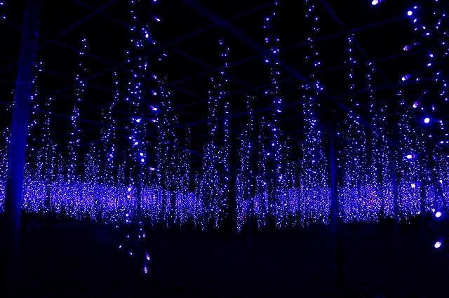f:id:Argon:20160103151158j:image