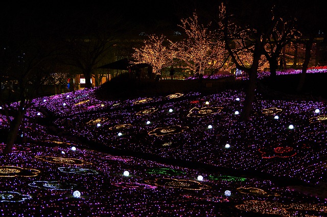 f:id:Argon:20160207233637j:image