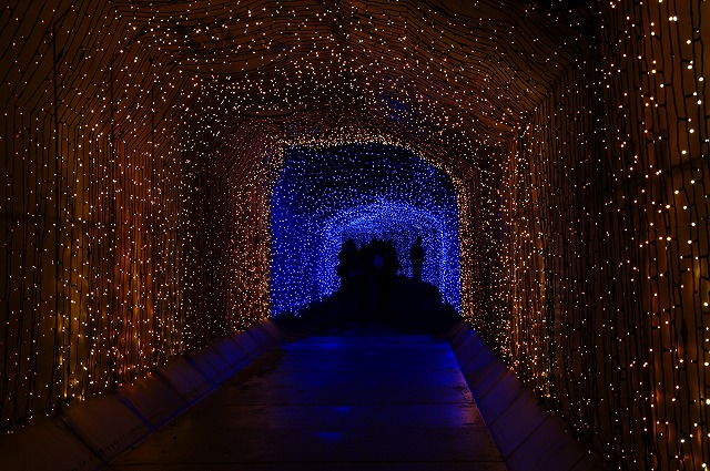 f:id:Argon:20160207233638j:image