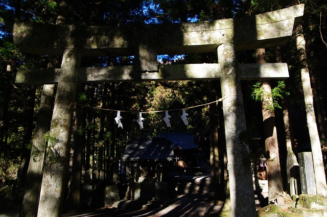 f:id:Argon:20170101185804j:image