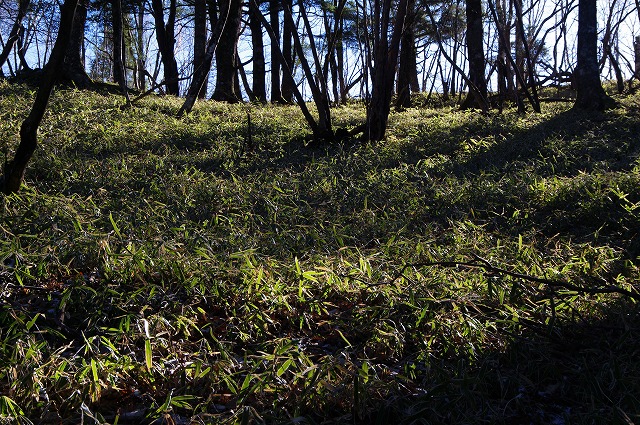 f:id:Argon:20170101185807j:image