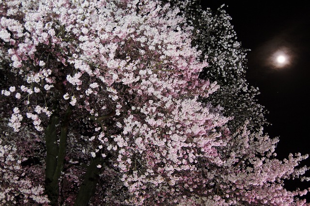 f:id:Argon:20170423213050j:image