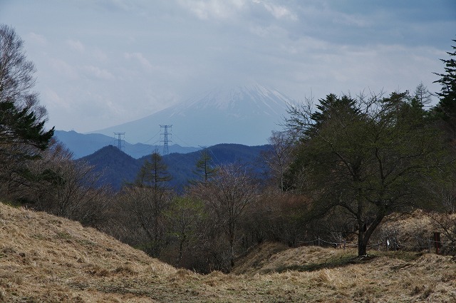 f:id:Argon:20170517003012j:image