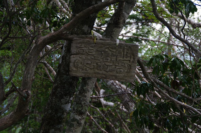 f:id:Argon:20170524003604j:image