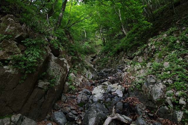 f:id:Argon:20170613225717j:image