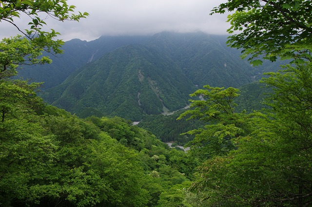 f:id:Argon:20170613225944j:image