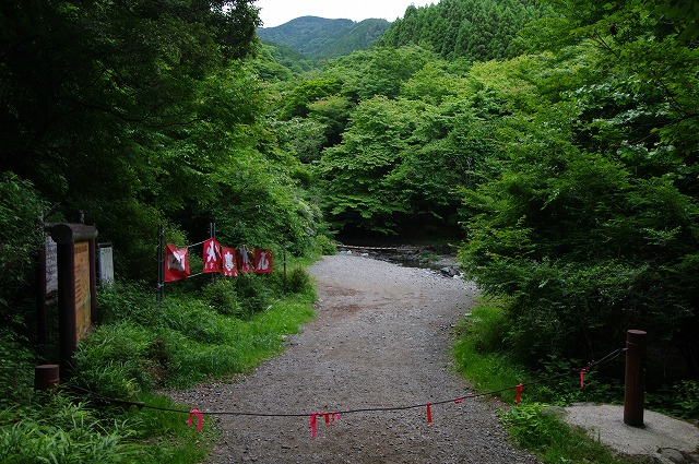 f:id:Argon:20170613230217j:image