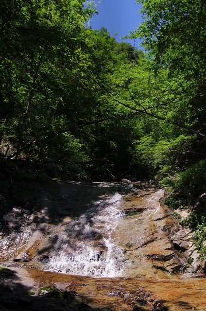 f:id:Argon:20170710214303j:image