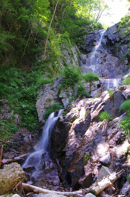 f:id:Argon:20170710214310j:image