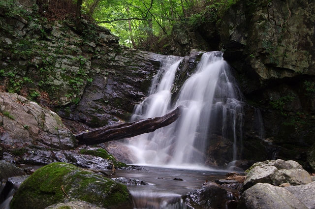 f:id:Argon:20170717211104j:image