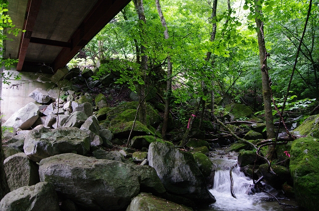 f:id:Argon:20170723194042j:image