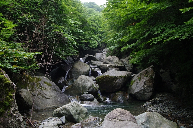 f:id:Argon:20170731211553j:image f:id:Argon:20170731211553j:image