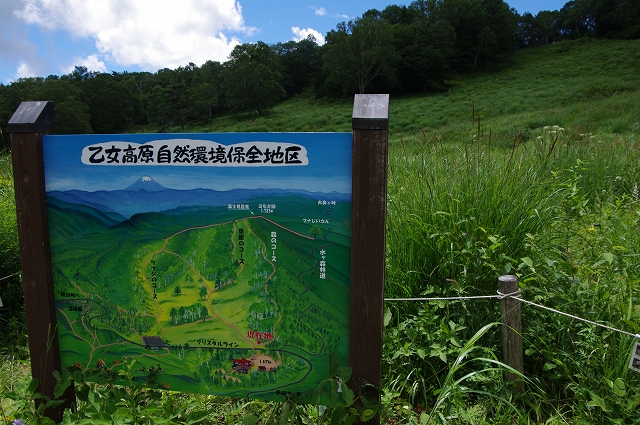 f:id:Argon:20170809203623j:image
