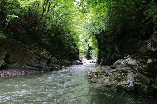 f:id:Argon:20170811230224j:image