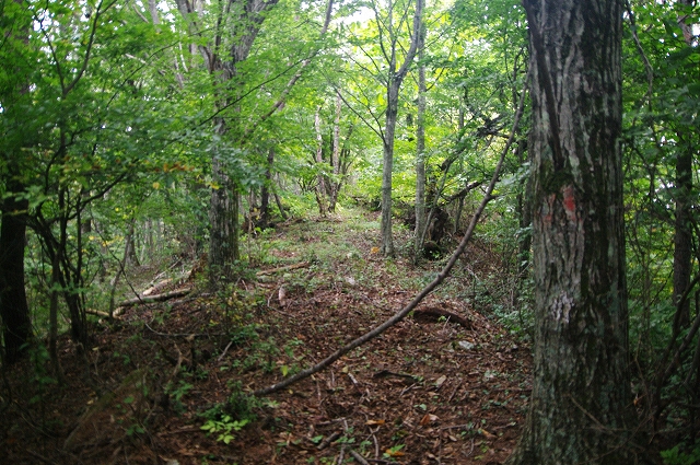 f:id:Argon:20171006232048j:image