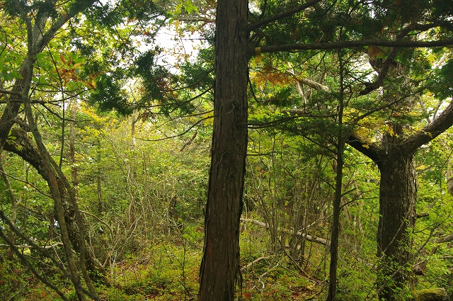 f:id:Argon:20171006232050j:image