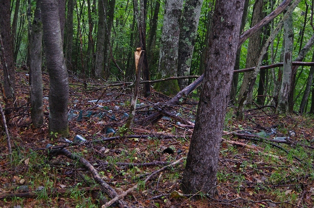 f:id:Argon:20171006232053j:image