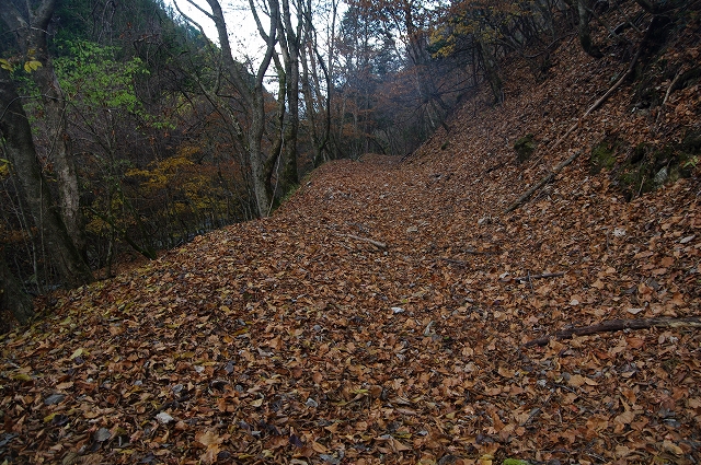 f:id:Argon:20171119215250j:image