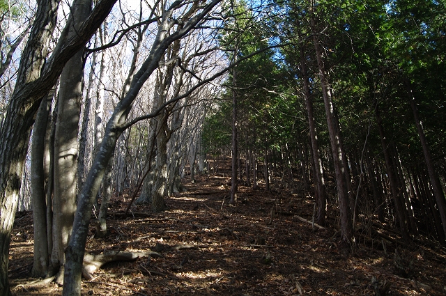 f:id:Argon:20171219195718j:image