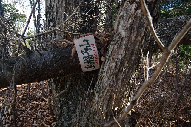 f:id:Argon:20171219195719j:image