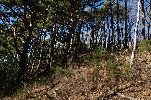 f:id:Argon:20171219195721j:image