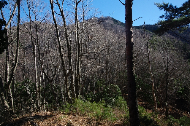 f:id:Argon:20171219195722j:image