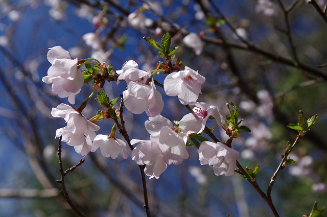 f:id:Argon:20180407180341j:image