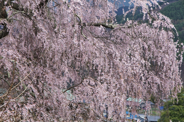 f:id:Argon:20180409213946j:image