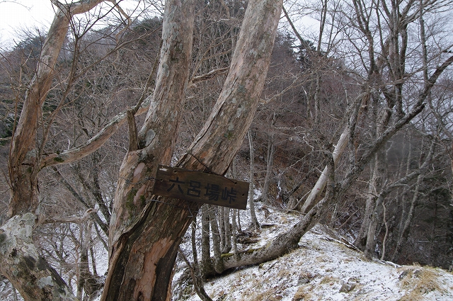 f:id:Argon:20180409214004j:image