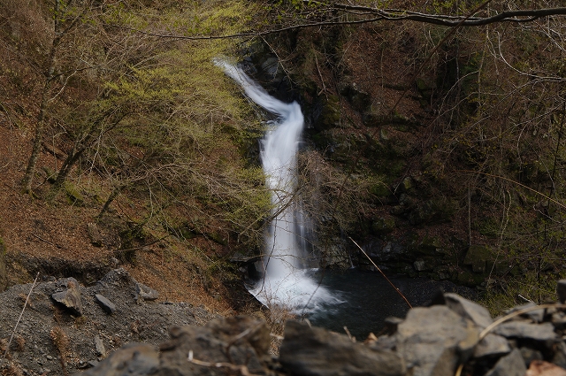 f:id:Argon:20180409214033j:image