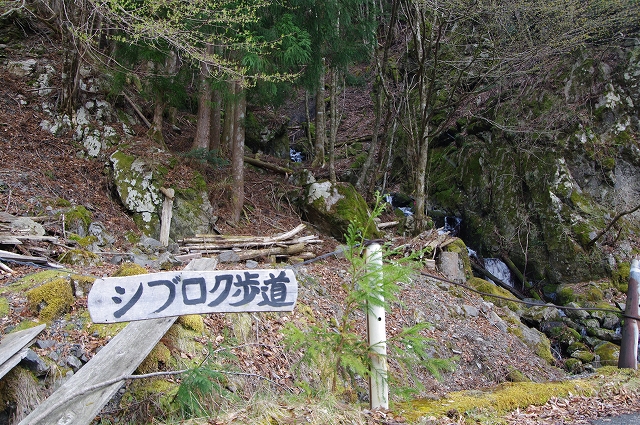 f:id:Argon:20180409214037j:image