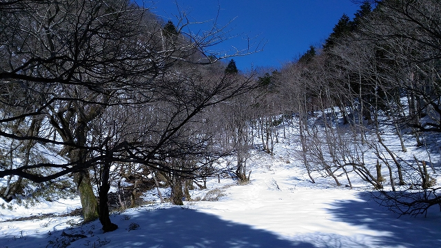 f:id:Argon:20180410212803j:image