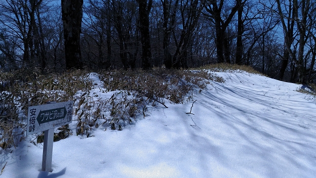 f:id:Argon:20180410212809j:image