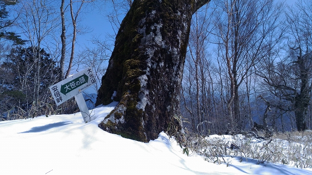 f:id:Argon:20180410212811j:image