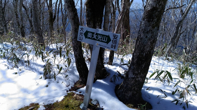 f:id:Argon:20180410212813j:image