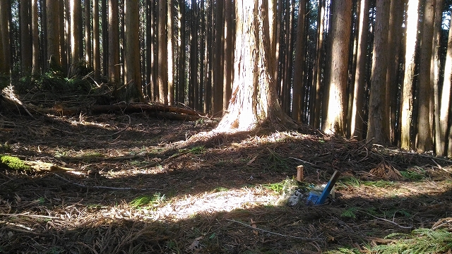 f:id:Argon:20180410212829j:image