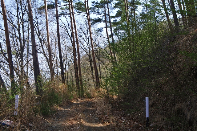 f:id:Argon:20180416232451j:image