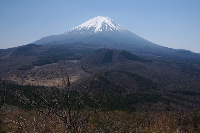 f:id:Argon:20180420224956j:image