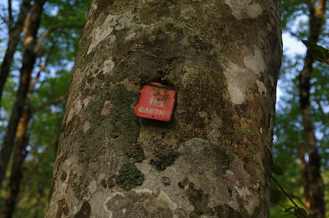 f:id:Argon:20180506214006j:image