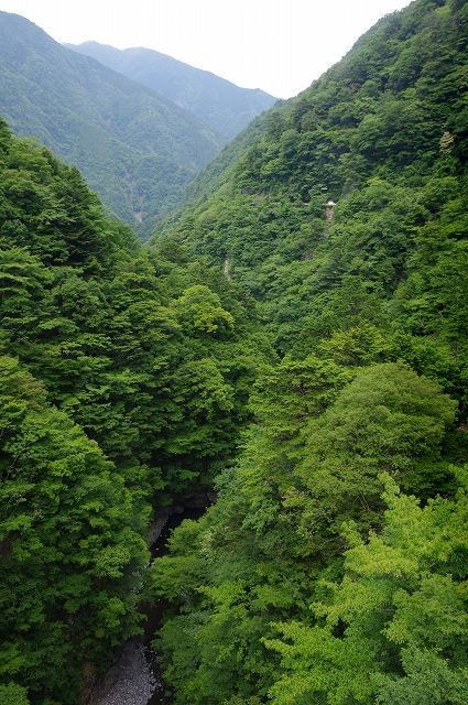 f:id:Argon:20180702130658j:image