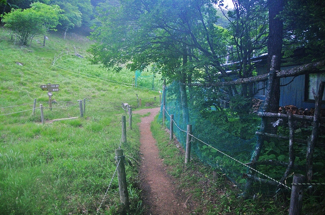 f:id:Argon:20180702130700j:image
