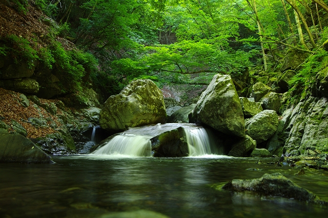 f:id:Argon:20180702130705j:image