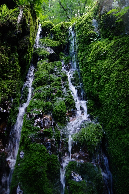 f:id:Argon:20180702130742j:image