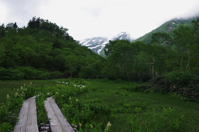 f:id:Argon:20180714175203j:image