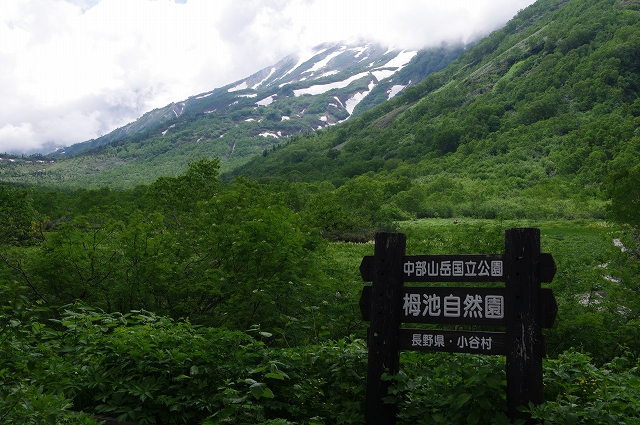 f:id:Argon:20180714175204j:image