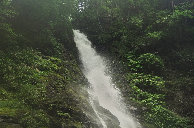 f:id:Argon:20180717104501j:image