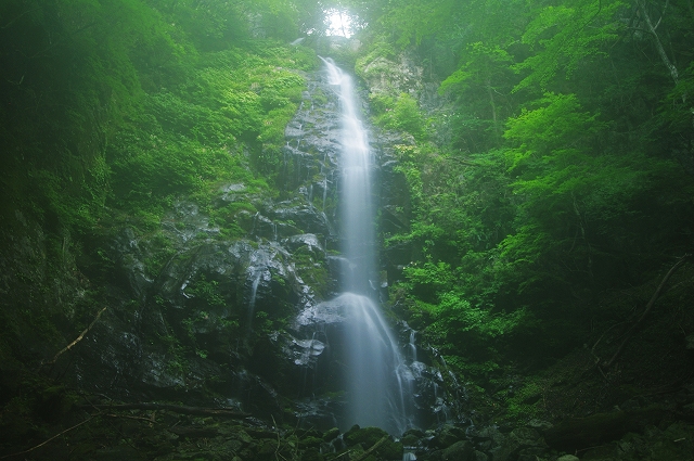 f:id:Argon:20180717104502j:image